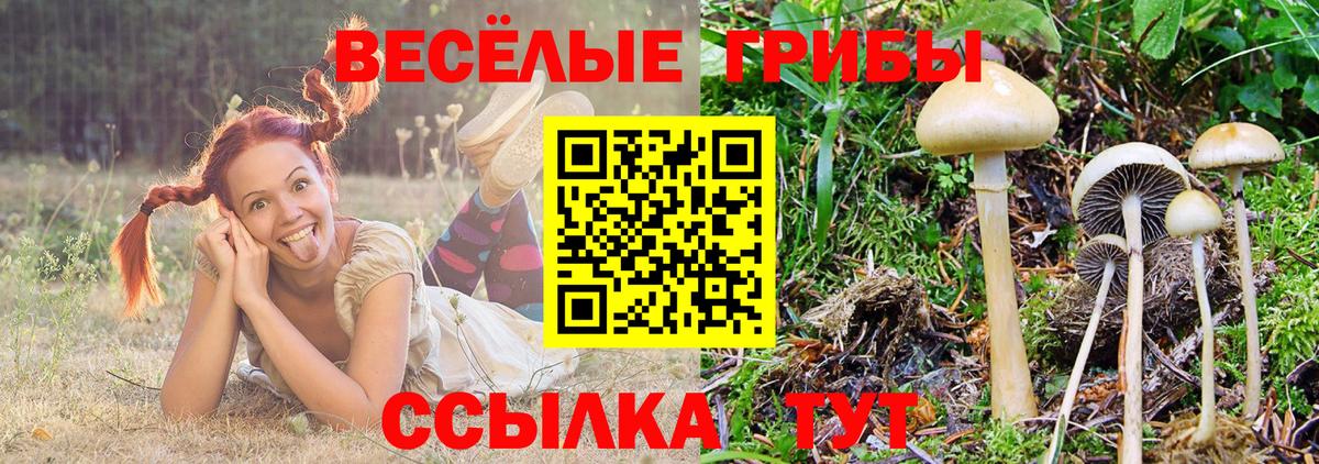 Гагарин  Галлюциногенные грибы ЛСД  Вход с VPN 